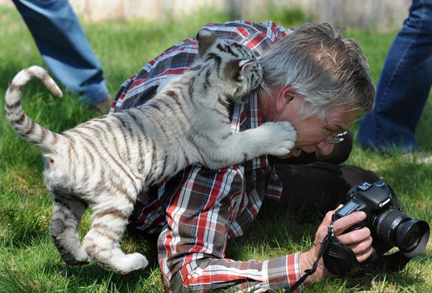Site de rencontre entre animaux