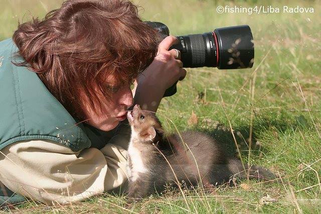 Site de rencontre entre animaux