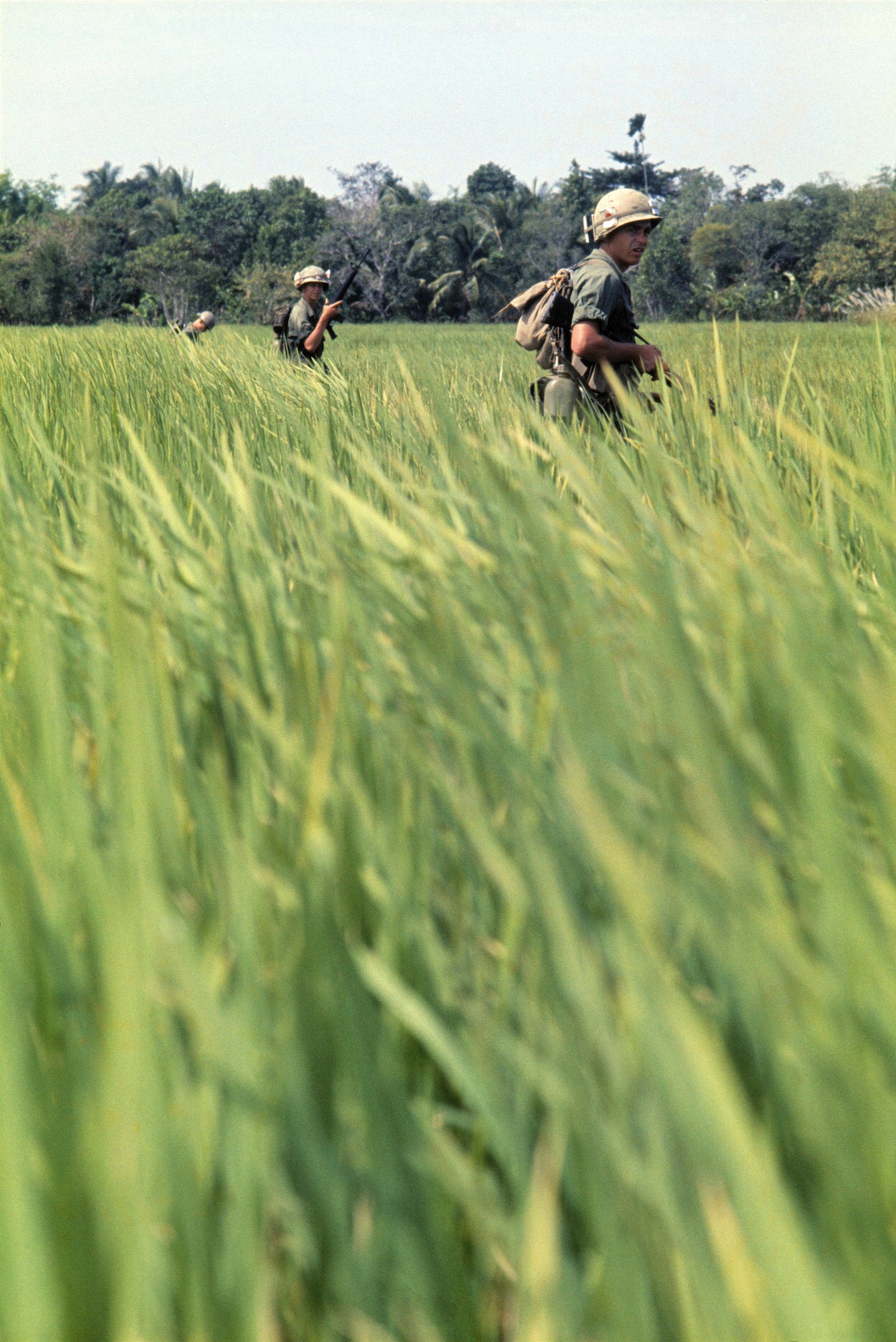 Vietnam, 1967